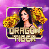 Dragon Tiger phspin 11 app
